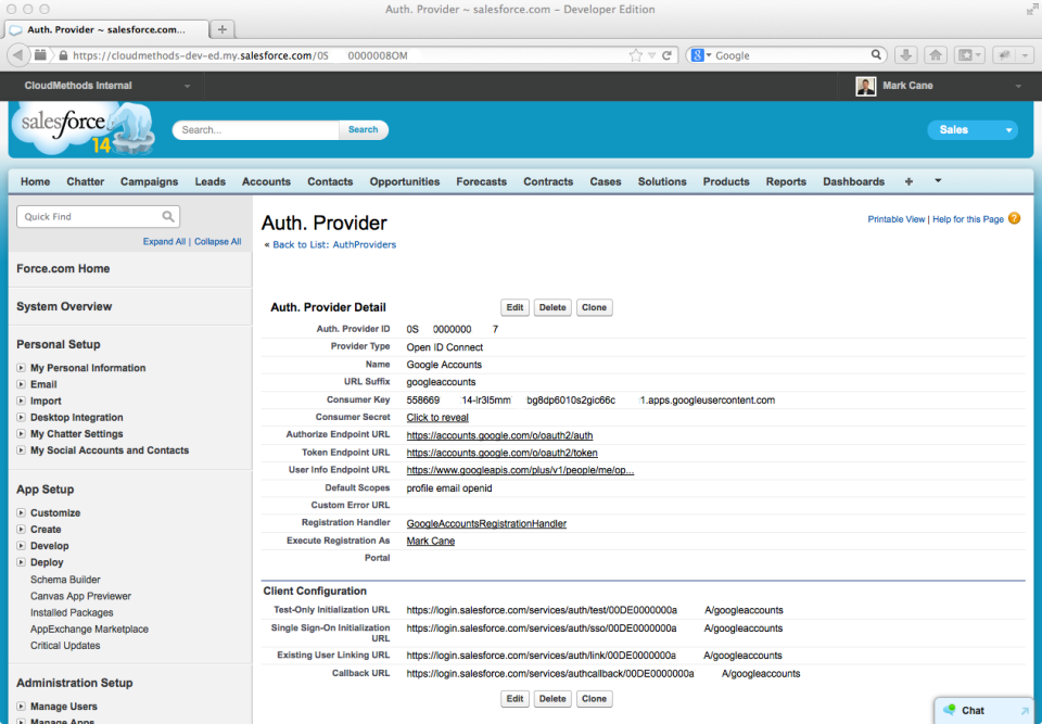 8. Salesforce Auth Provider Detail Page